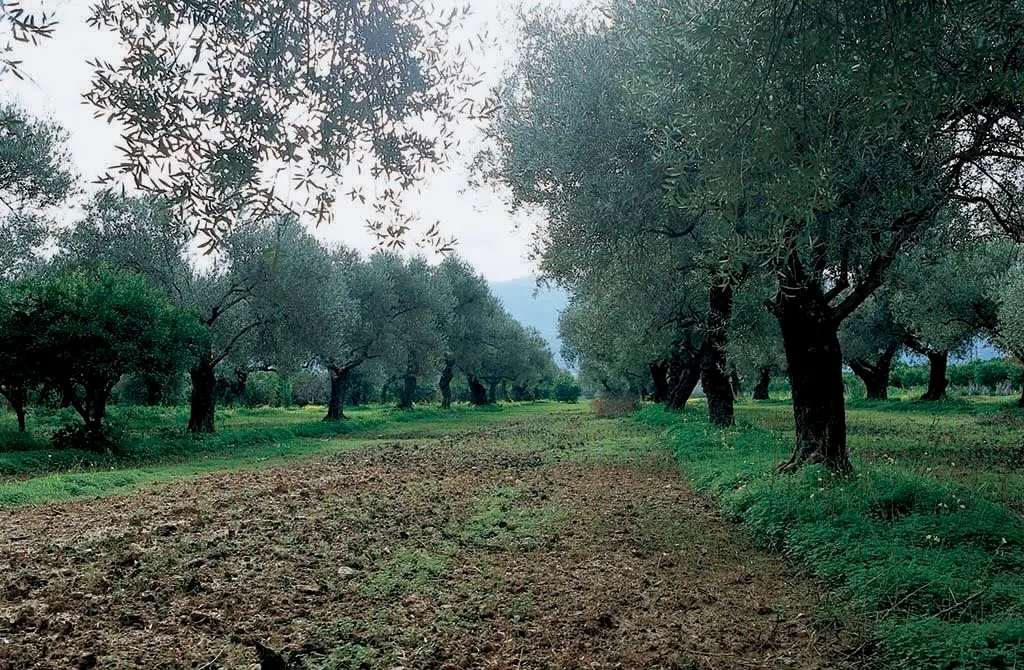 Chryssopigi monastery in Crete