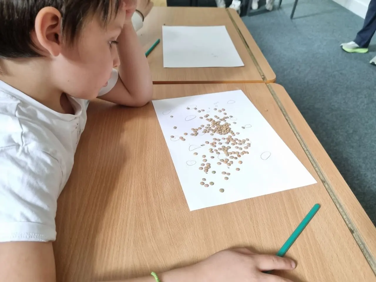 Contemplating the concept of numbers